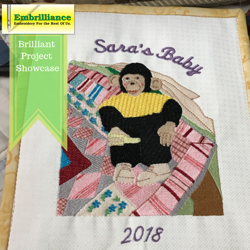 Sara’s Baby Monkey – A Brilliant Project!